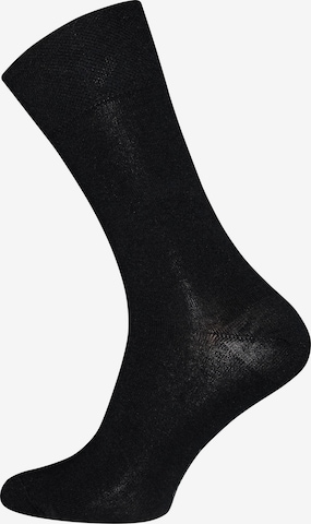 EWERS Skarpety w kolorze czarny: przód
