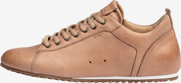 LLOYD Sneakers in Brown: front