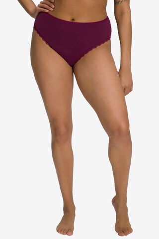 Ulla Popken Panty in Purple: front