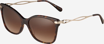 COACH Sonnenbrille '0HC8316' in Braun: predná strana