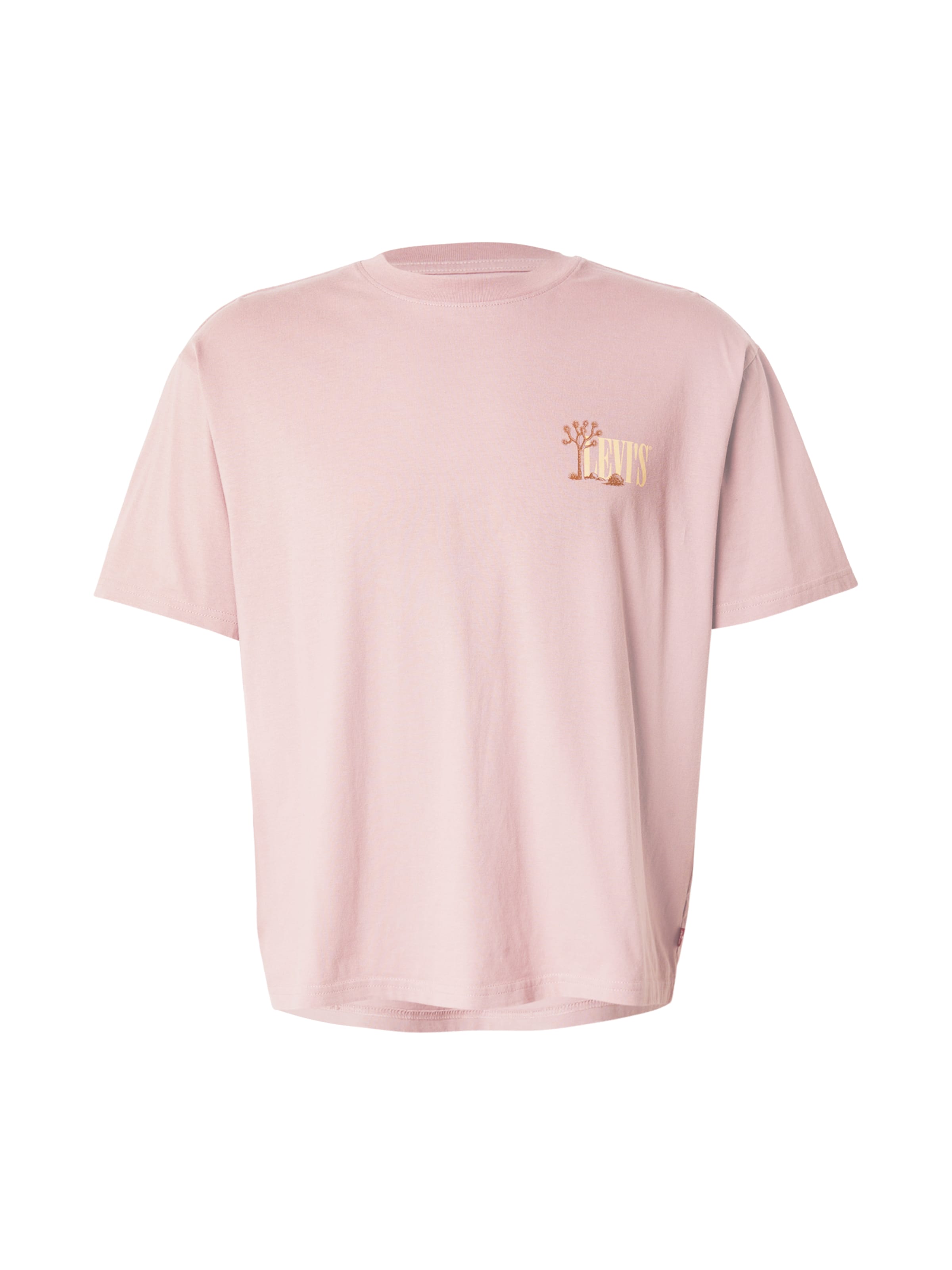 LEVI'S ® 'Graphic Boxy Tee' in Pink: Vorderseite