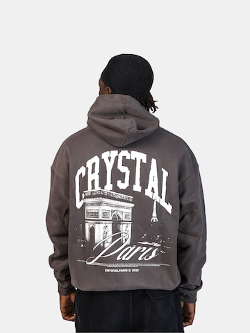 Crystal Paris Sweatshirt 'Arc'‌‌‌‌‌ in Grau