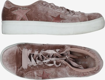 STEVE MADDEN Sneaker 36 in Pink: Vorderseite