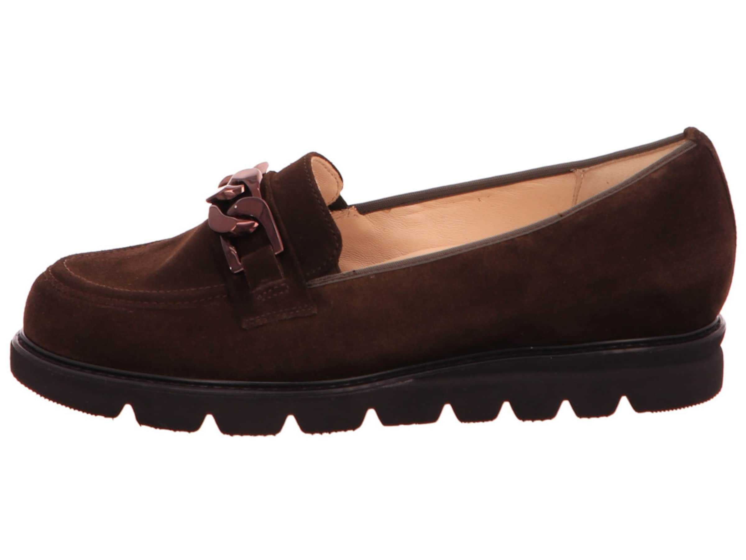 HASSIA Instappers in Bruin