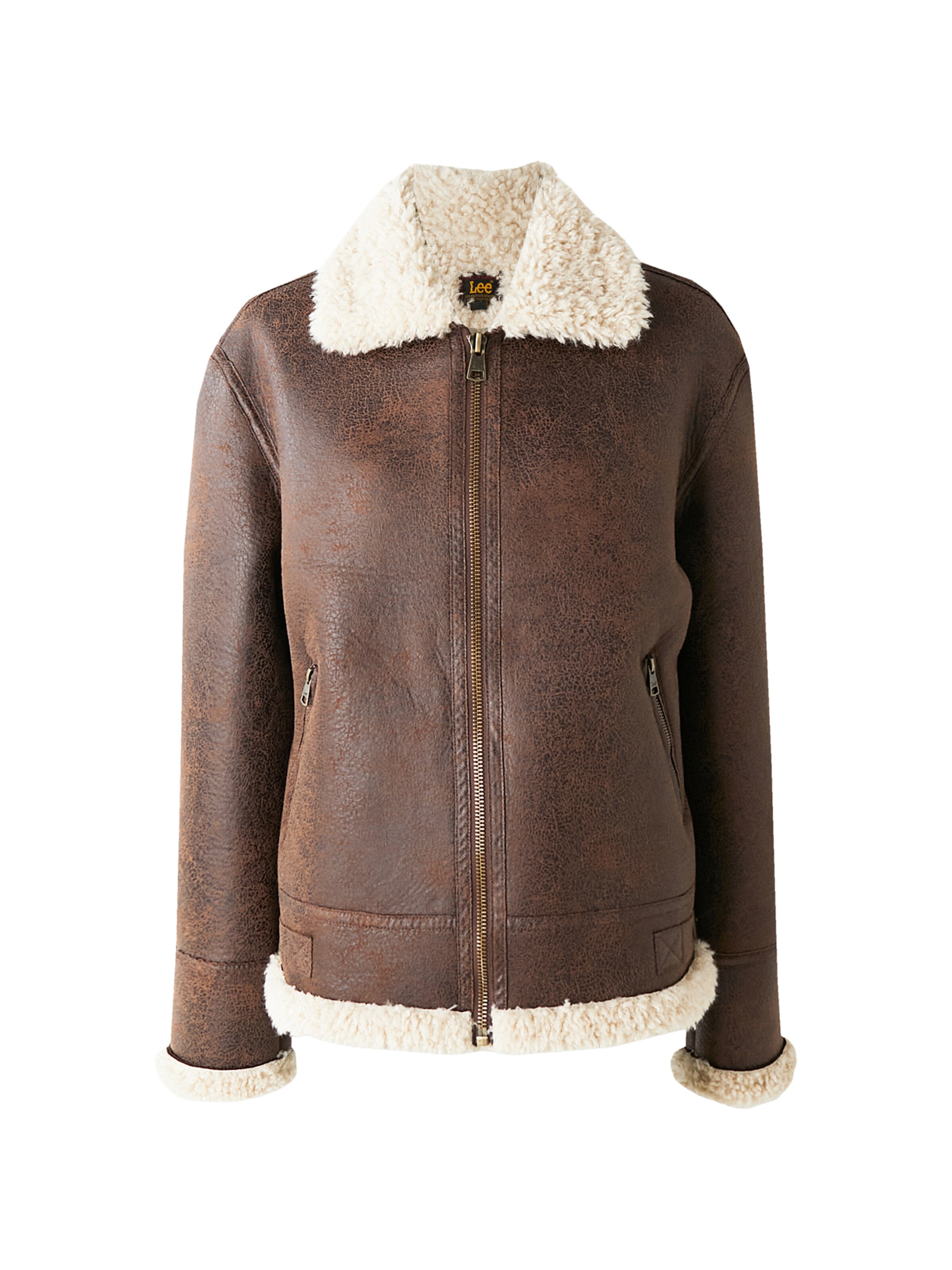 Lee Winter jacket in Brown: front