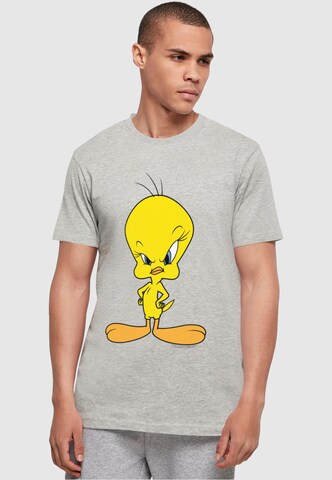 Maglietta 'Looney Tunes - Angry Tweety' di ABSOLUTE CULT in grigio: frontale