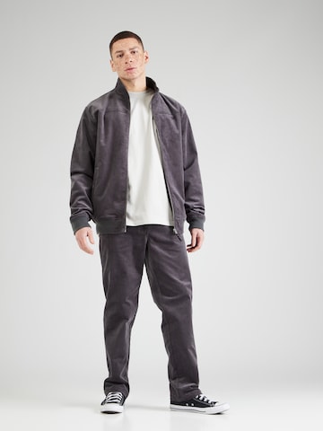 Iriedaily Regular Trousers 'Trapas' in Grey