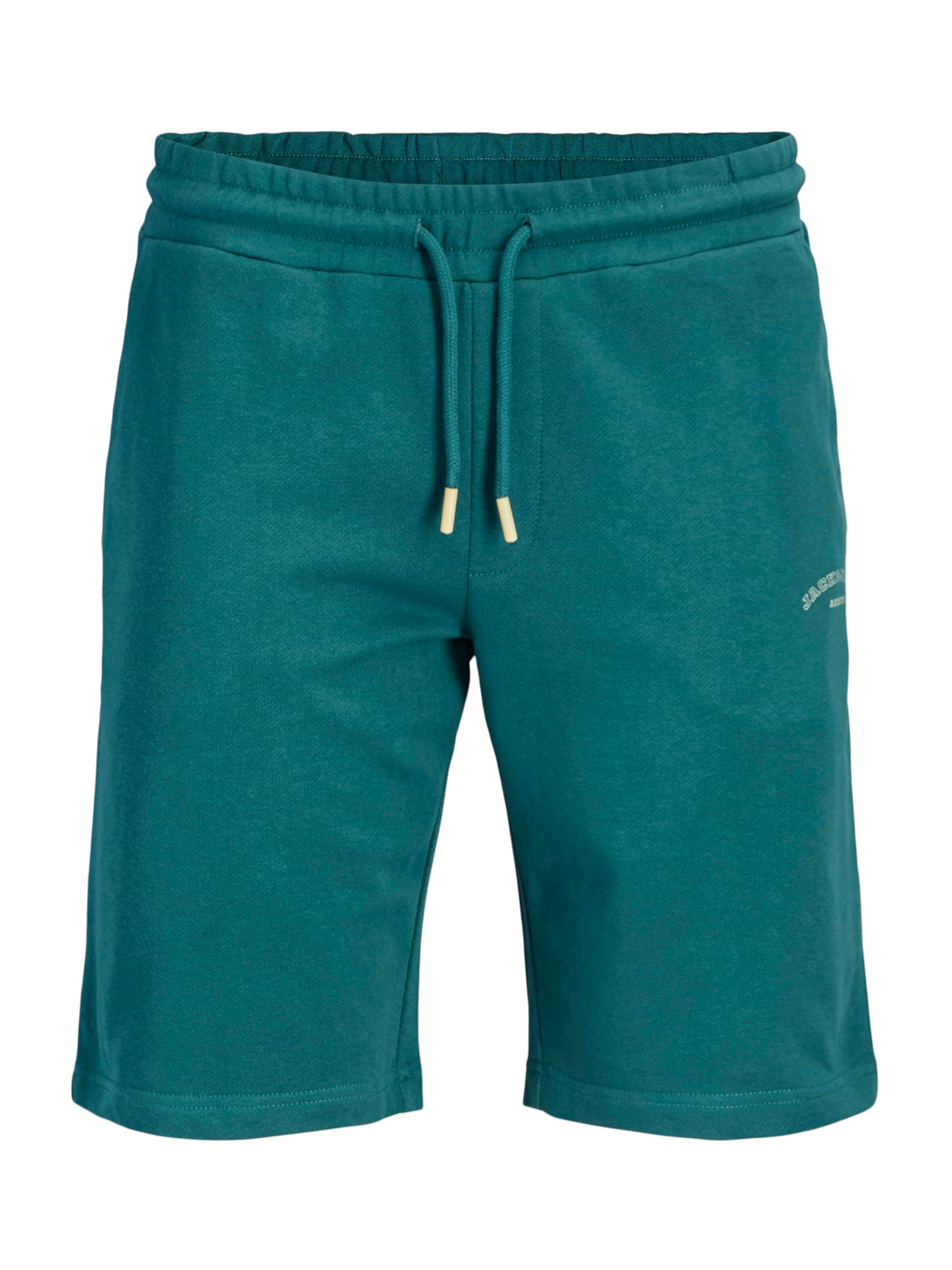 JACK & JONES Pantalon 'JPSTGORDON' en pétrole, Vue avec produit