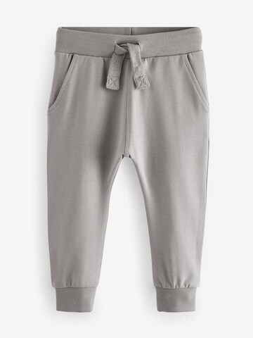 Tapered Pantaloni di Next in grigio