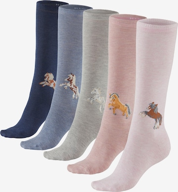 H.I.S Socks 'LBG' in Mixed colors: front