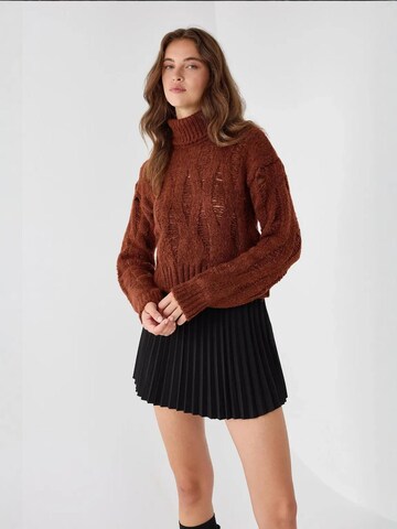 Hiccup Pullover in Braun