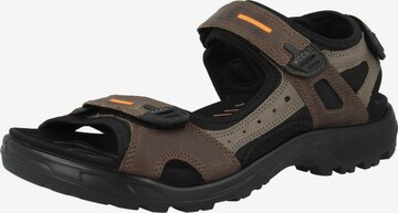 ECCO Wandelsandalen 'Offroad Yucatan' in Bruin: voorkant