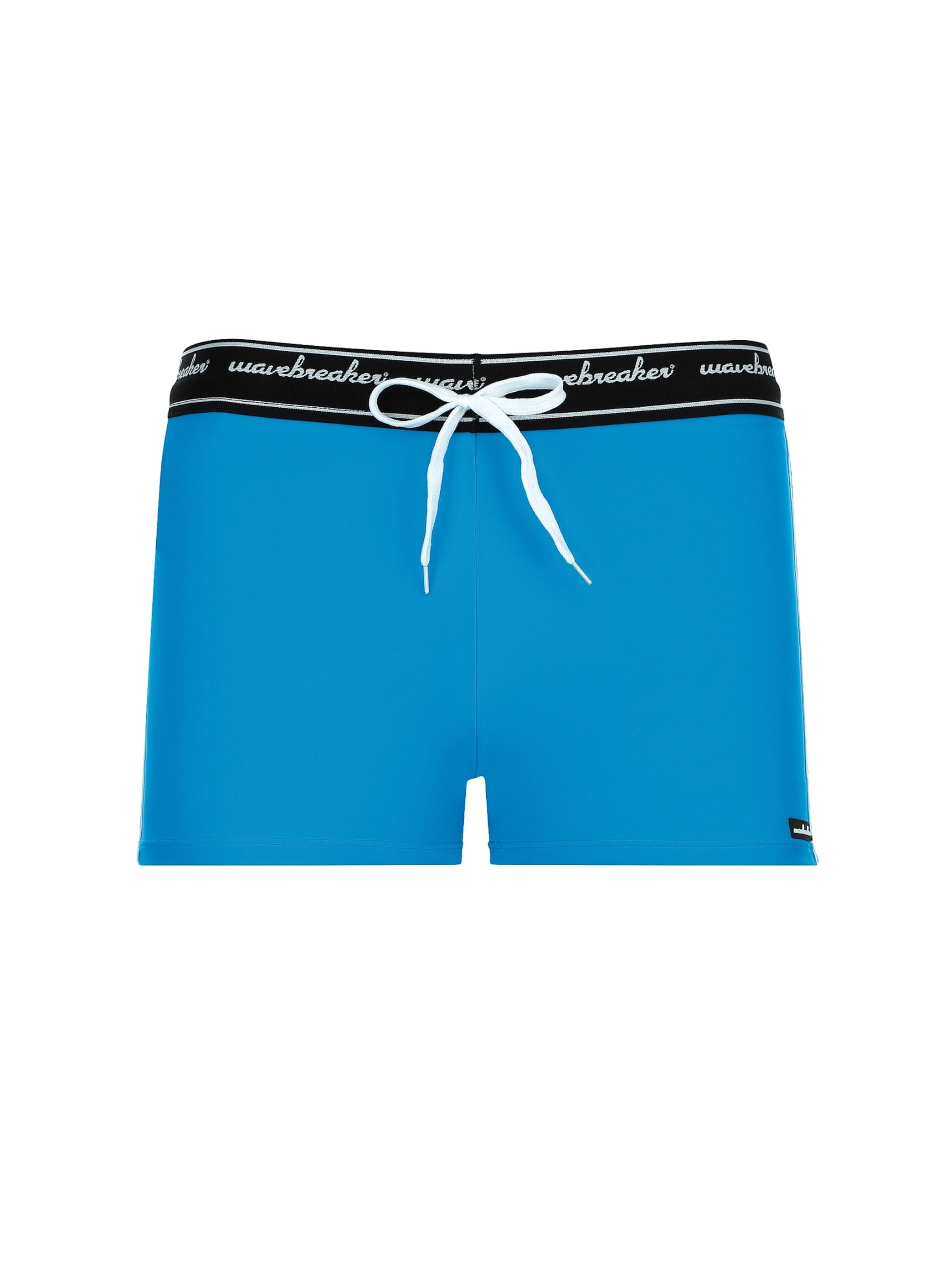 wavebreaker Swim Trunks in Blue: front