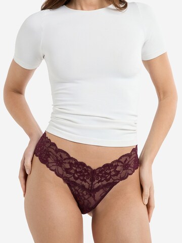 ETAM Panty 'Sweet' in Purple