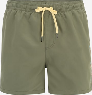 QUIKSILVER Board Shorts 'BEHIND WAVE' in Green: front