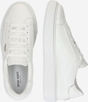 ANTONY MORATO Sneakers laag in Wit