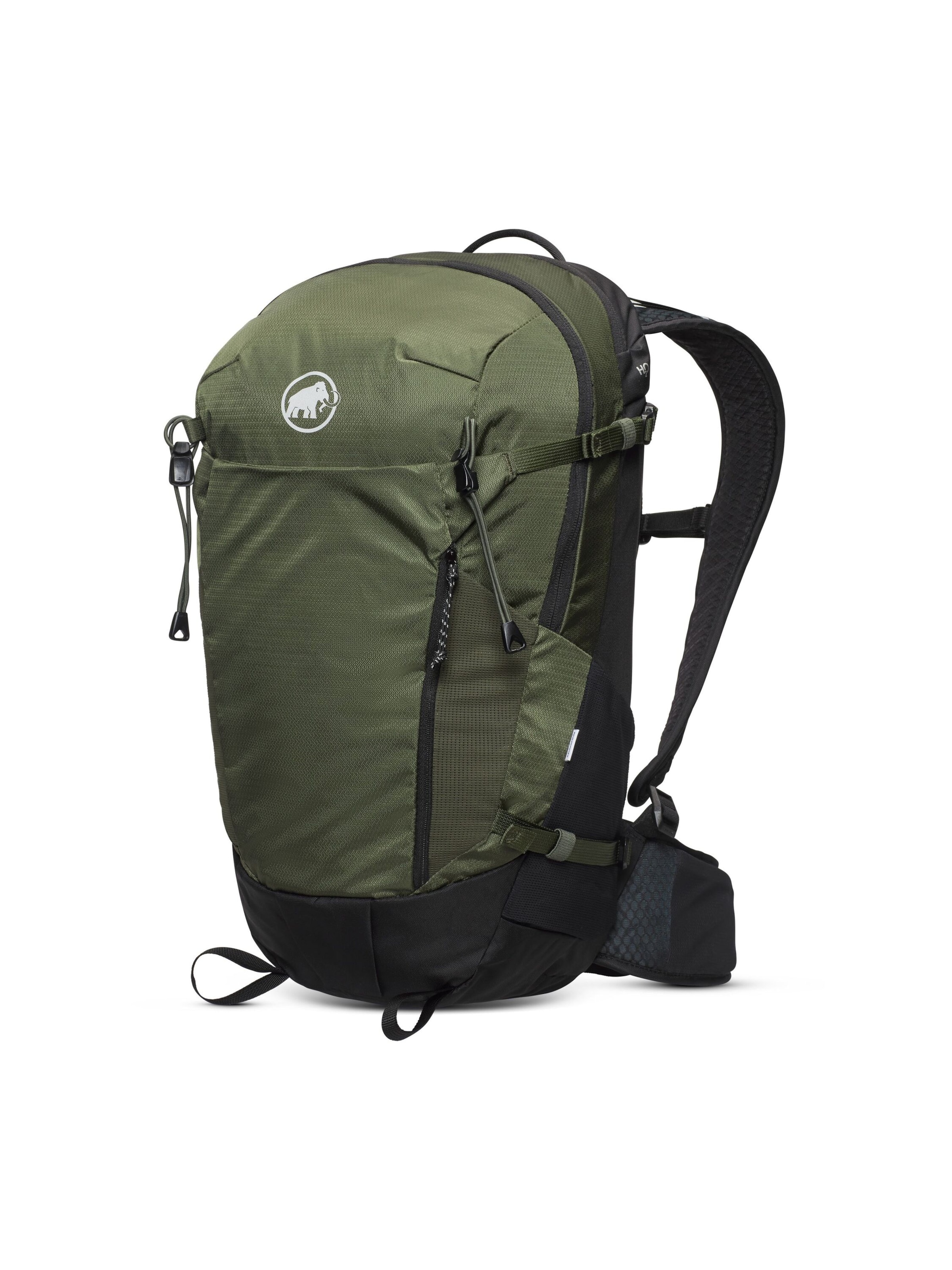 MAMMUT Sports Backpack 'Lithium 25' in Green: front