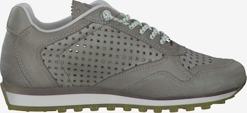 Cetti Sneakers in Grey