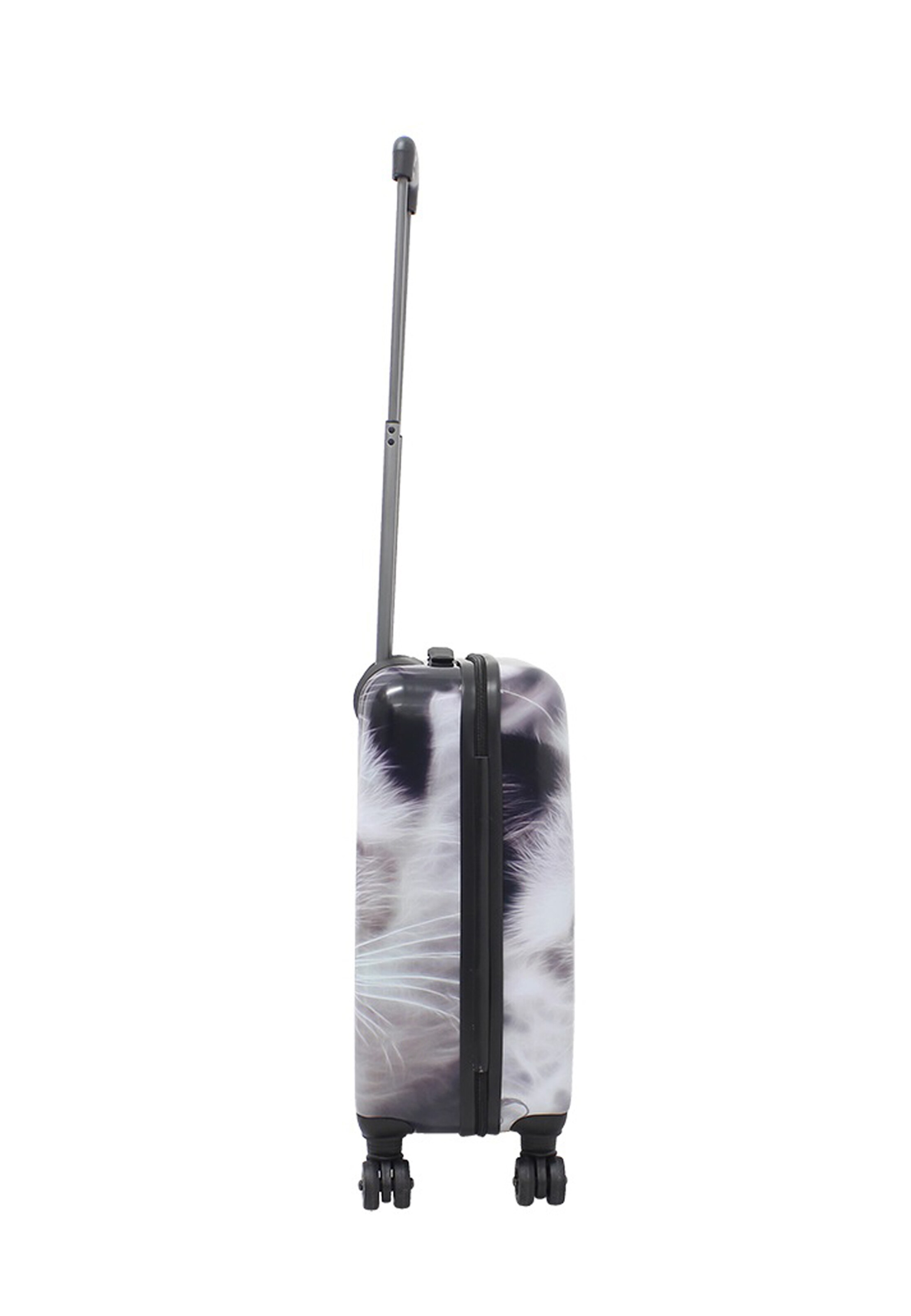 Saxoline Trolley 'White Cat' in Weiß