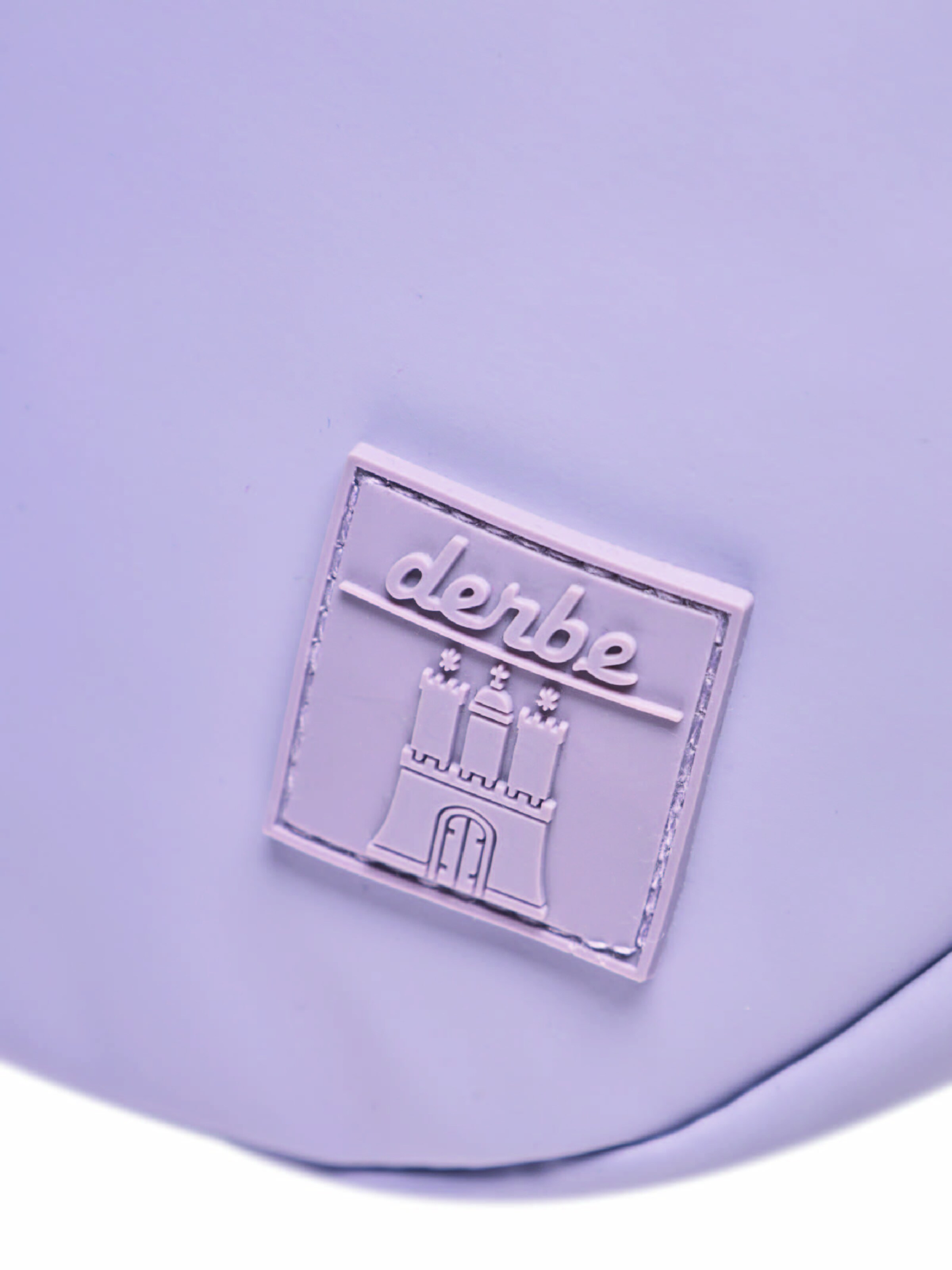 Derbe Crossbody Bag in Purple