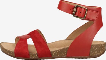 Sandales CLARKS en rouge