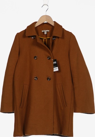 Trafaluc Jacket & Coat in M in Brown: front