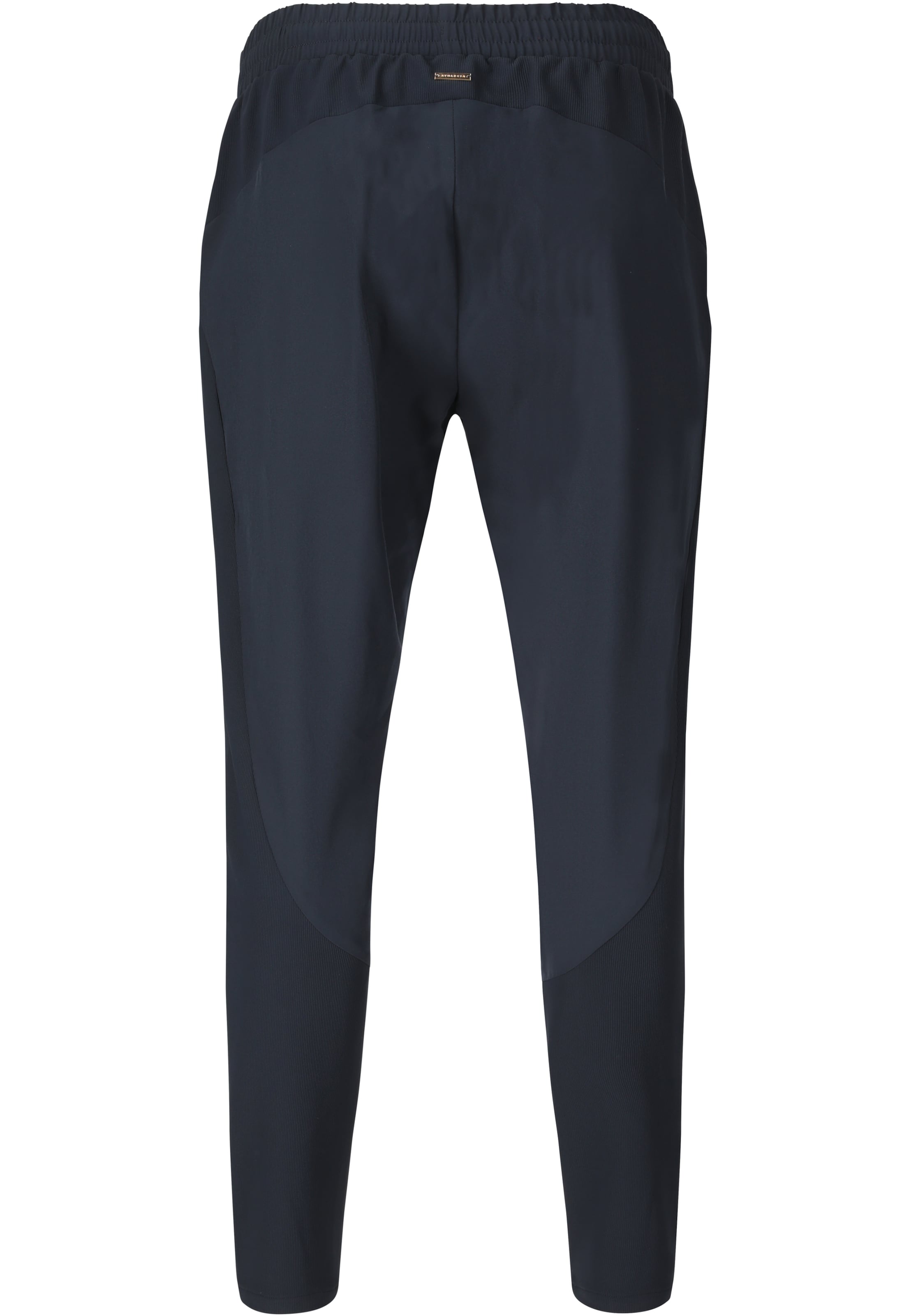 Athlecia Regular Sportbroek 'Timmie' in Blauw