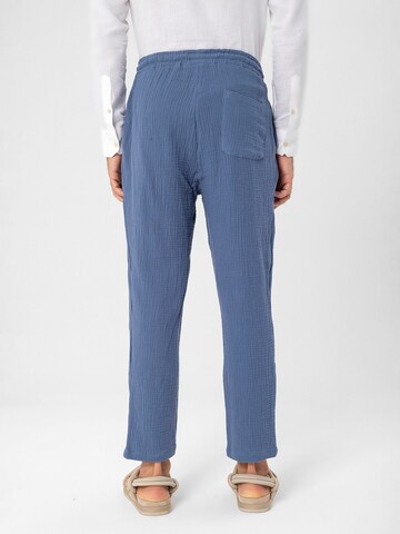 Antioch Regular Trousers in Blue