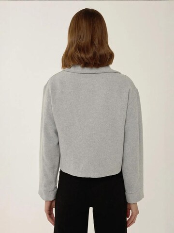 Hiccup Jacke in Grau