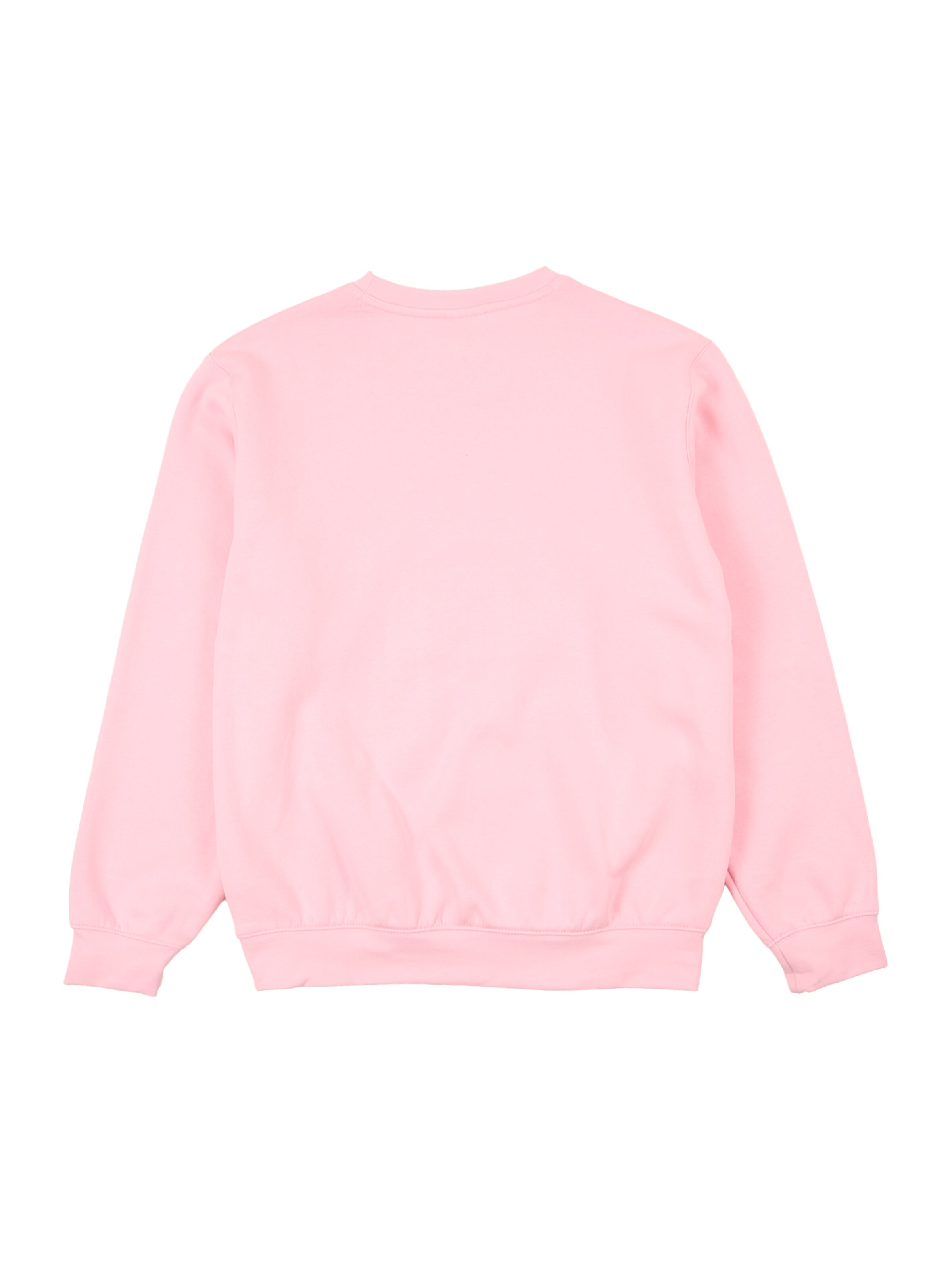 Jordan Mikina 'BRKLN FLC' – pink