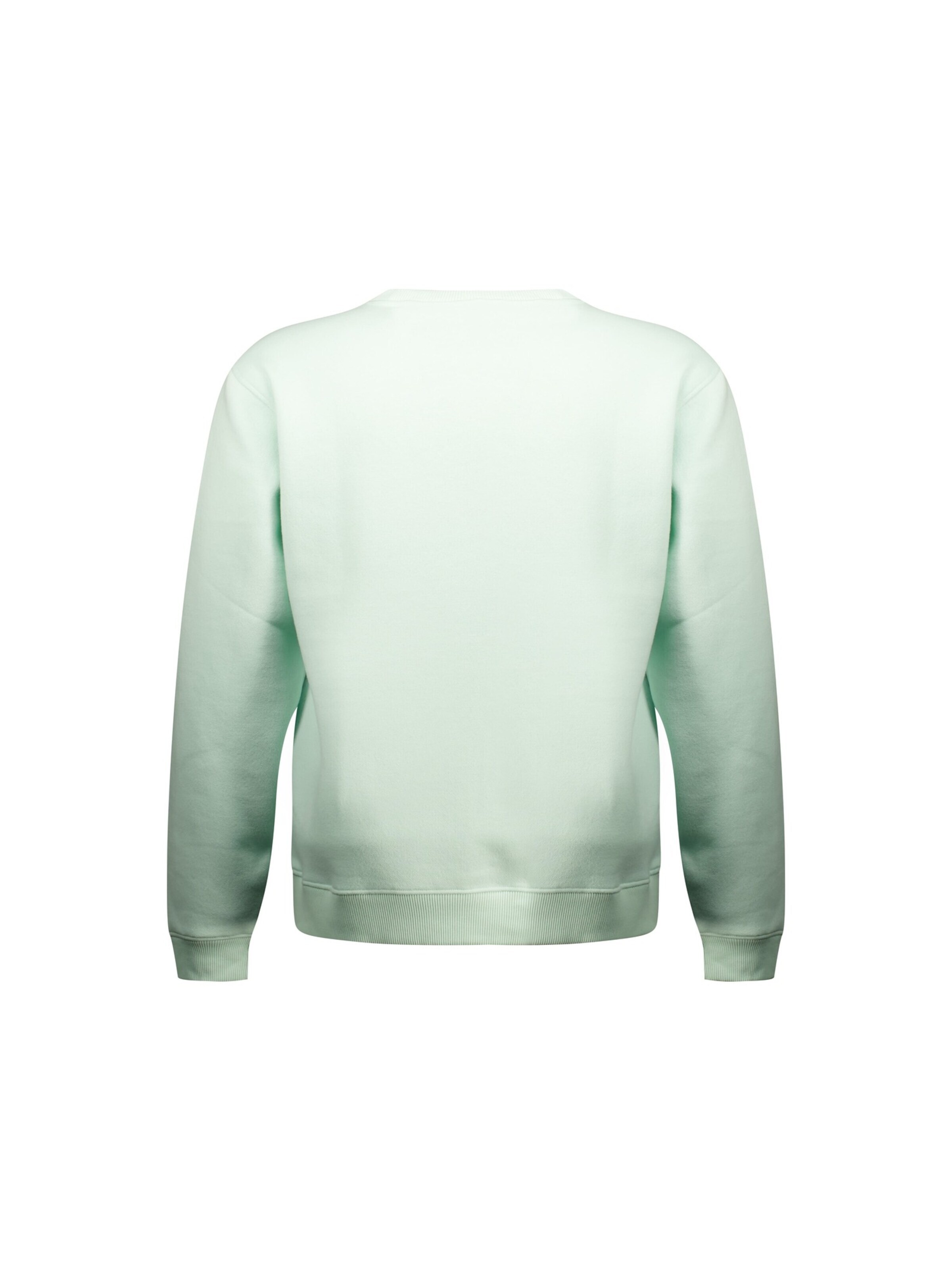 Deeluxe Sweatshirt '' BENOR ' ' in Grün