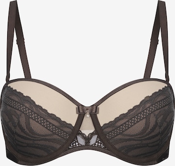 Marc & André Push-up Bra in Brown: front