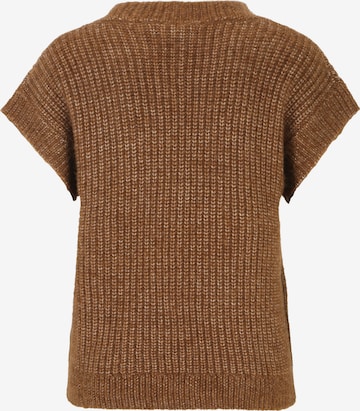 Cartoon Sweater in Brown
