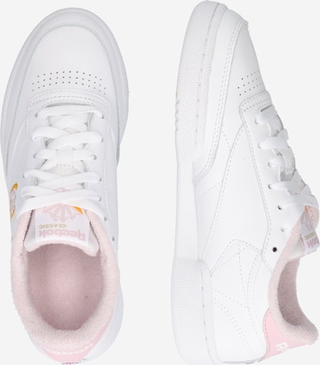 Baskets basses 'Club C 85' Reebok en blanc