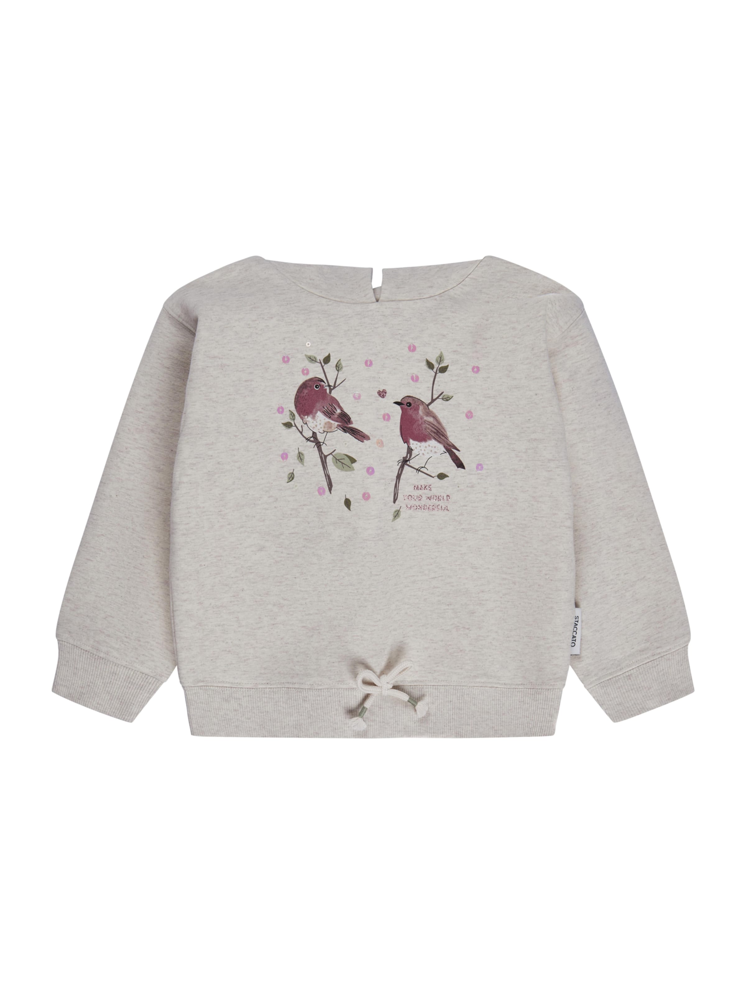 Felpa di STACCATO in grigio: frontale