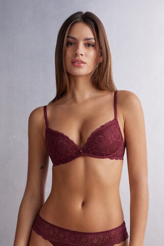 INTIMISSIMI Push-up Bra in Red: front