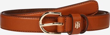 Ceinture TOMMY HILFIGER en marron : devant