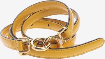 Fendi Gürtel XXXL in Orange: Vorderseite