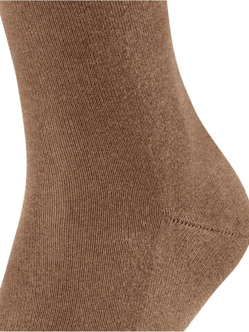 FALKE Socks 'Family' in Brown
