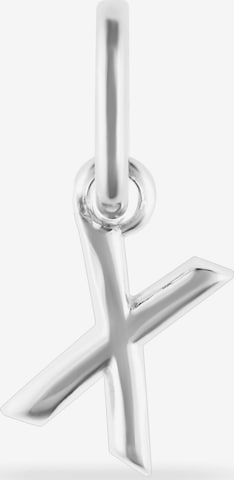 FAVS Anhänger in Silber: Vorderseite