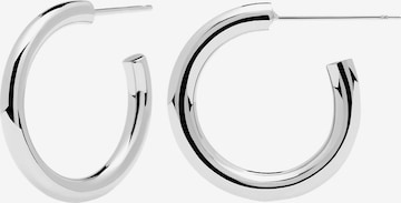 P D PAOLA Earrings in Silver: front