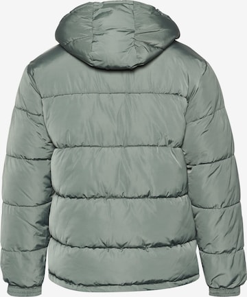 Karl Kani Winter Jacket in Green