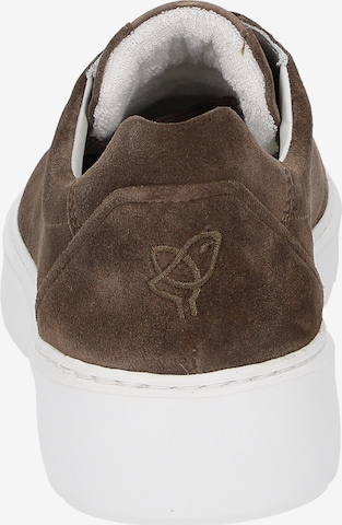 SIOUX Sneakers '003' in Brown