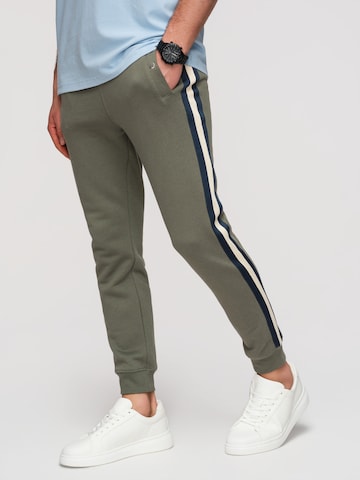 Ombre Regular Chino Pants in Green