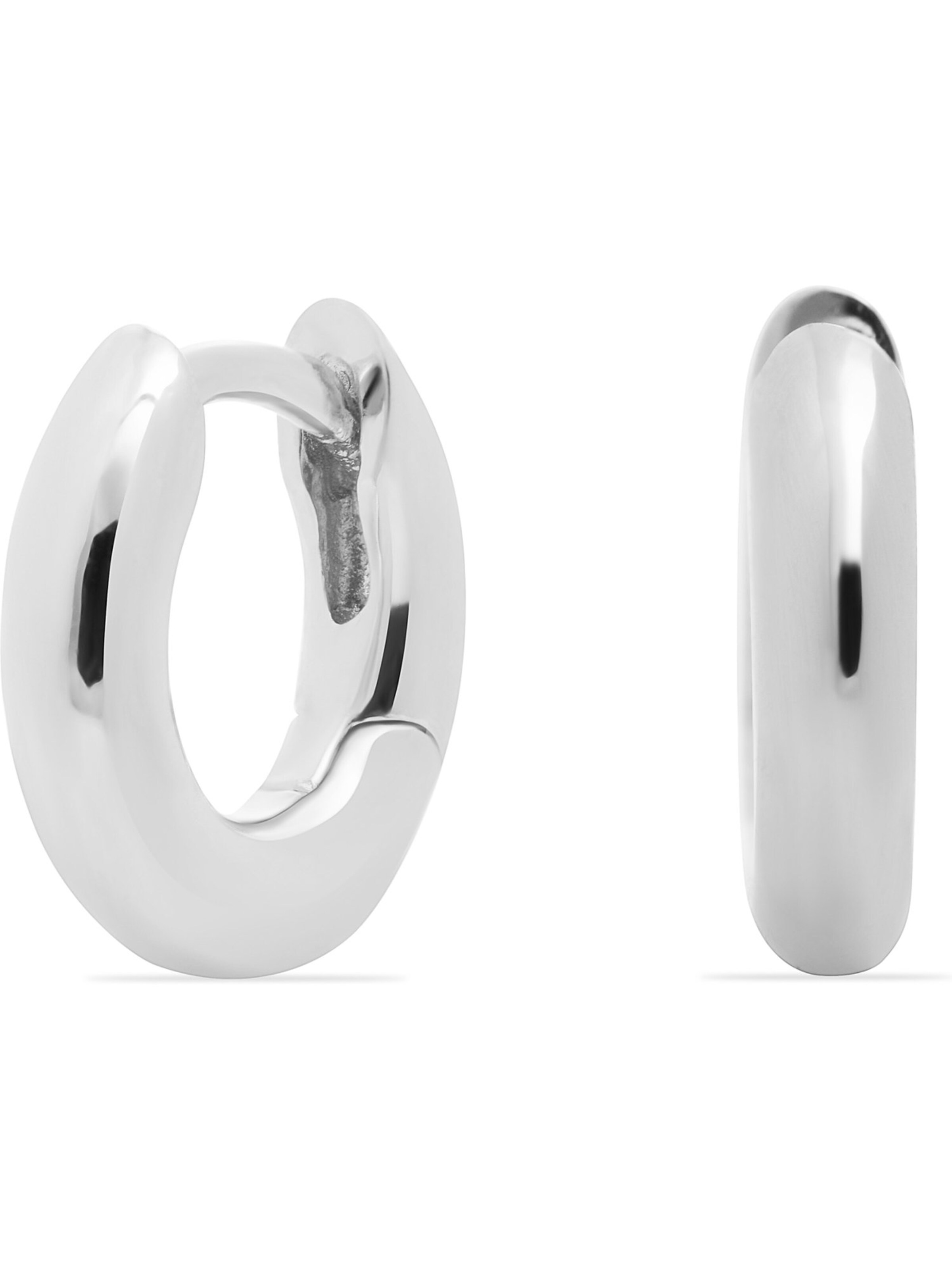 FAVS Earrings in Silver