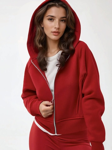 Sweat-shirt 'Kapuzenpullover' Hiccup en rouge : devant