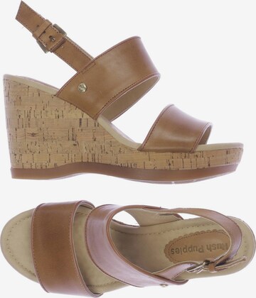 HUSH PUPPIES Sandals & High-Heeled Sandals in 41 in Brown: front