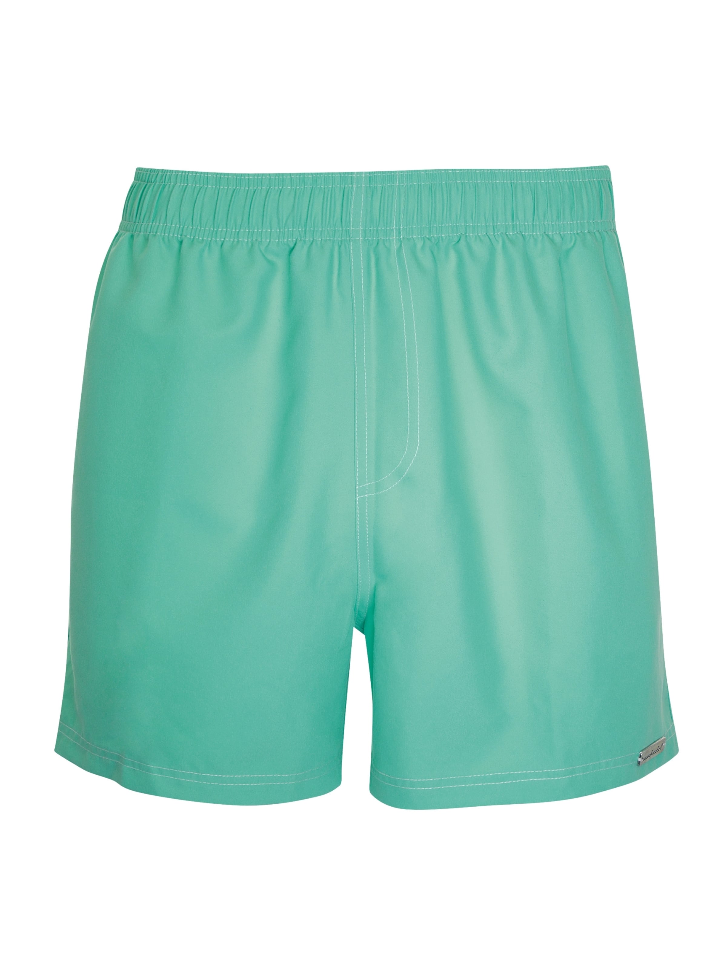 wavebreaker Board Shorts in Green: front