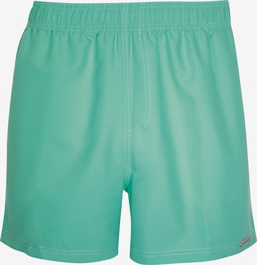 wavebreaker Board Shorts in Green: front