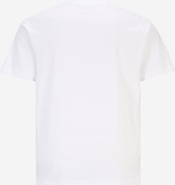Calvin Klein Jeans Plus Koszulka w kolorze biały